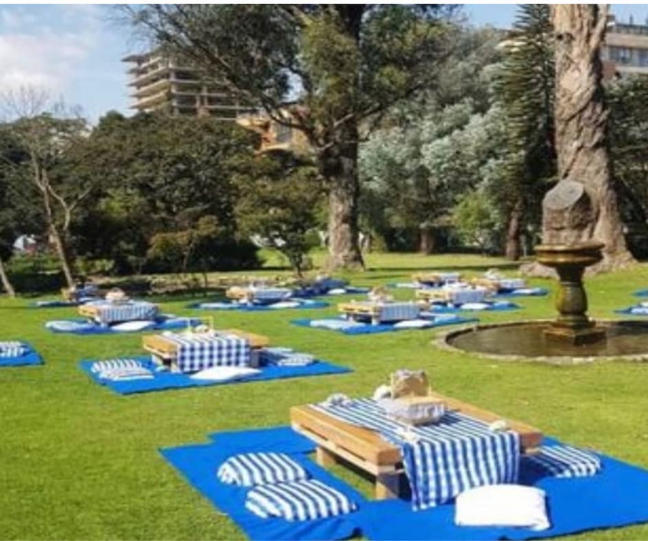 Fiestas Infantiles Picnic